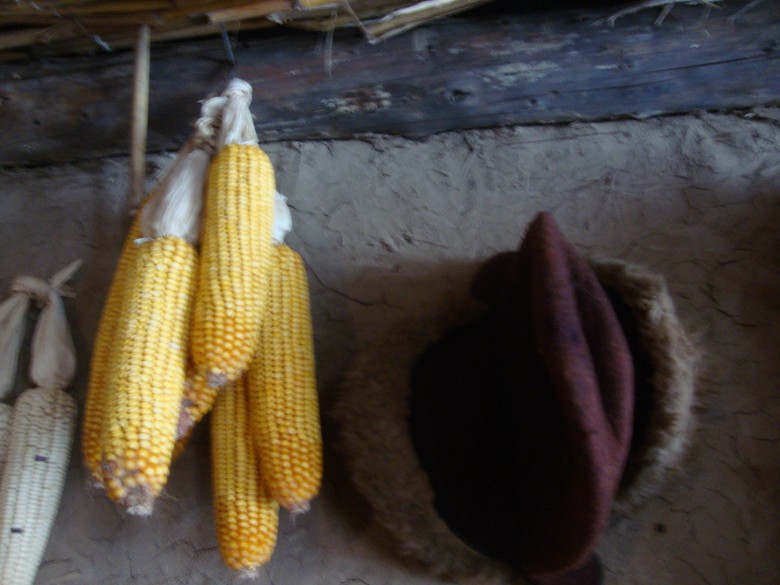 DSC00566_conew1.jpg