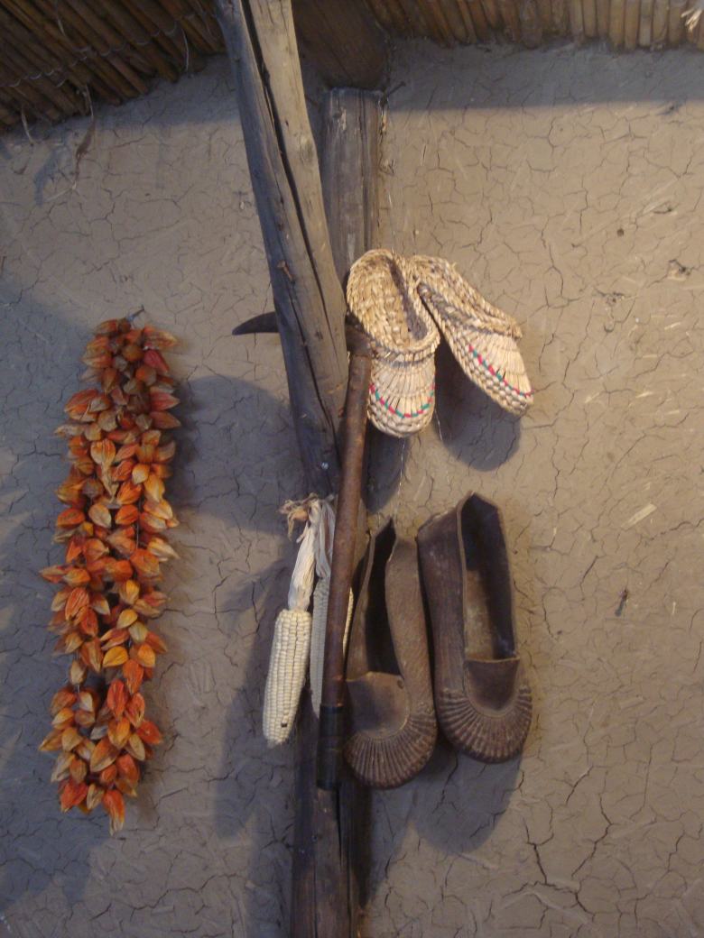 DSC00570_conew1.jpg