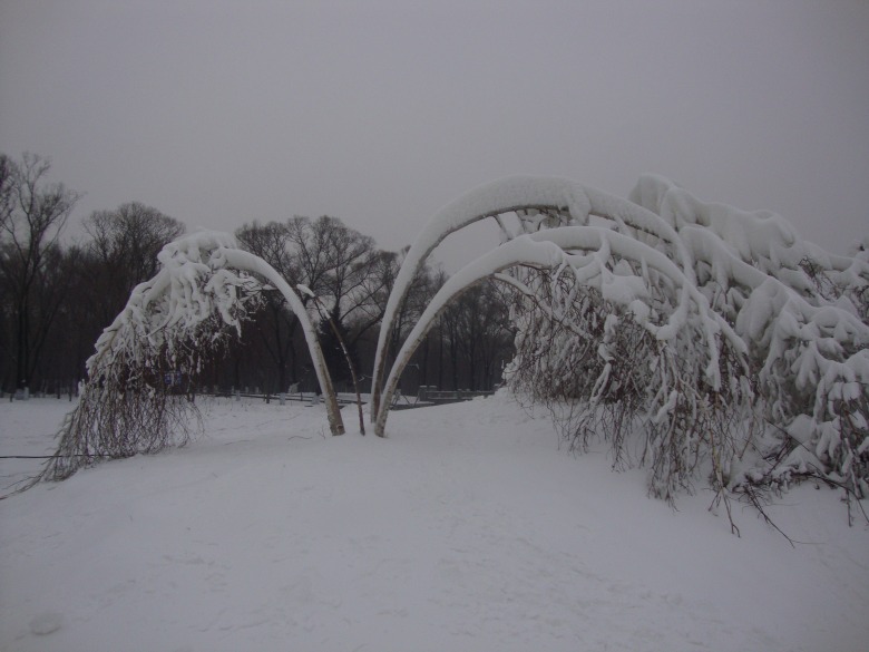 DSC00828_conew1.jpg