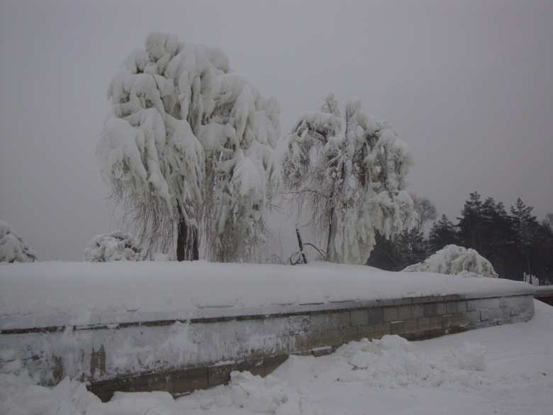 DSC00830_conew1.jpg