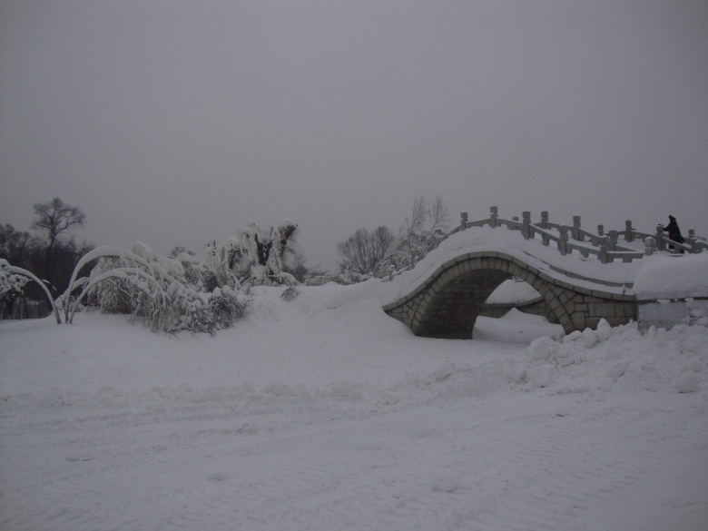 DSC00831_conew1.jpg
