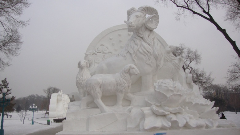 DSC01049_conew1.jpg