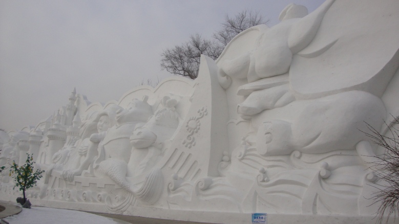 DSC01055_conew1.jpg