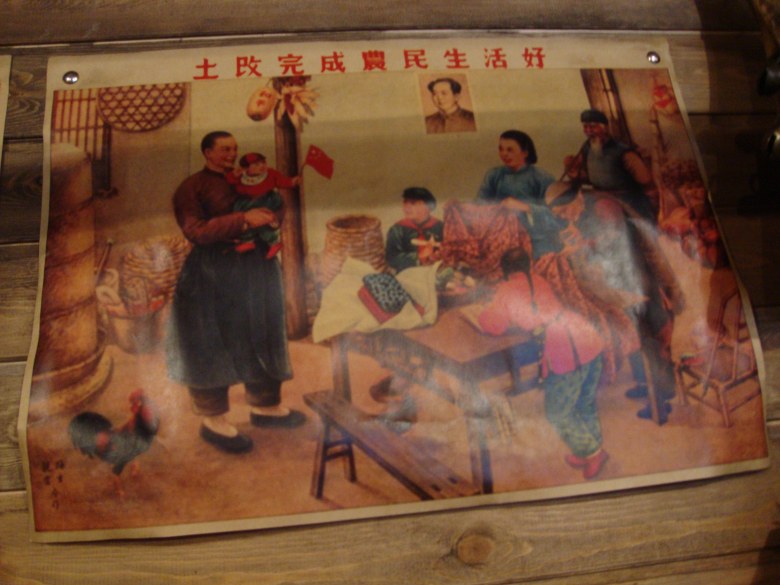 DSC00790_conew1.jpg