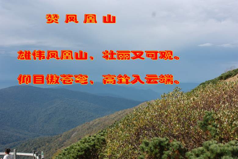 IMG_0761_conew1.jpg