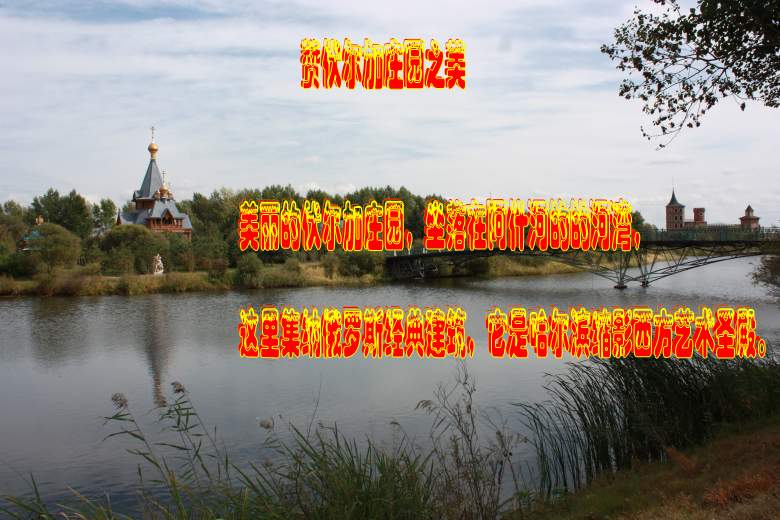 IMG_1659_conew1.jpg