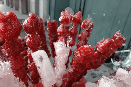 DSC02121_.jpg