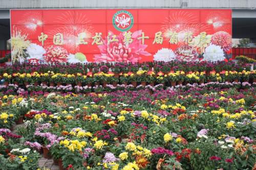 IMG_0338_conew1.jpg