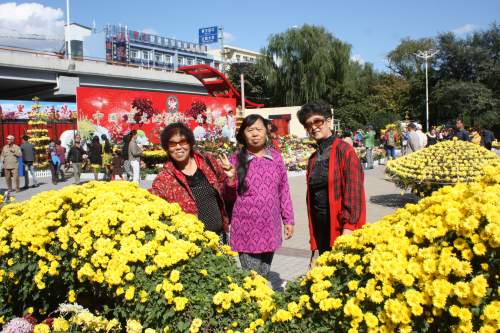 IMG_6031_conew1.jpg