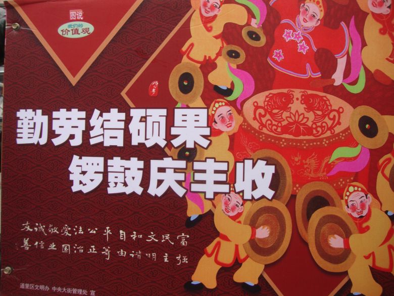DSC00424_conew1.jpg
