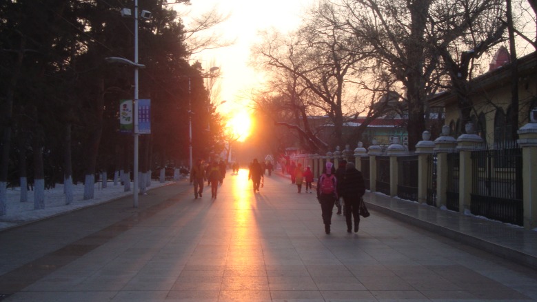 DSC01200_conew1.jpg