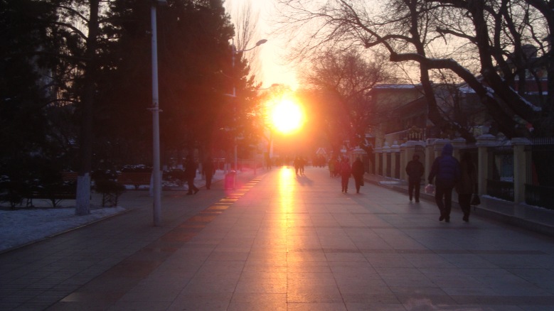DSC01202_conew1.jpg