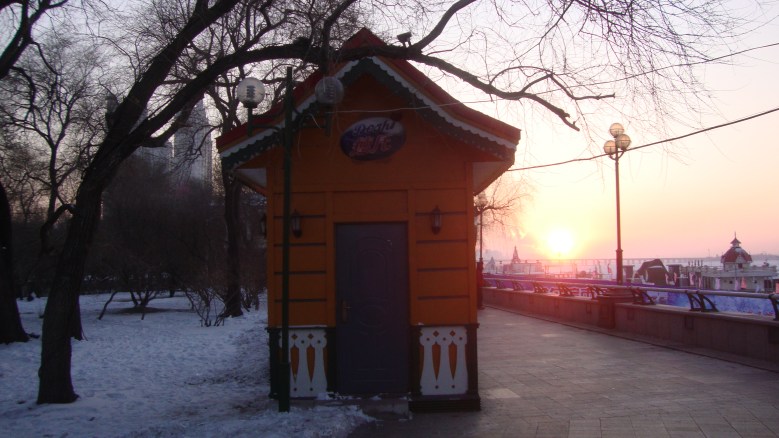 DSC01208_conew1.jpg