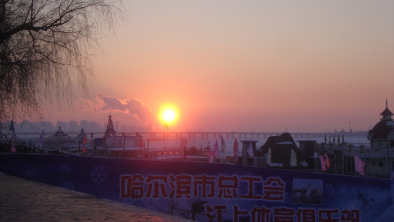 DSC01211_conew1.jpg