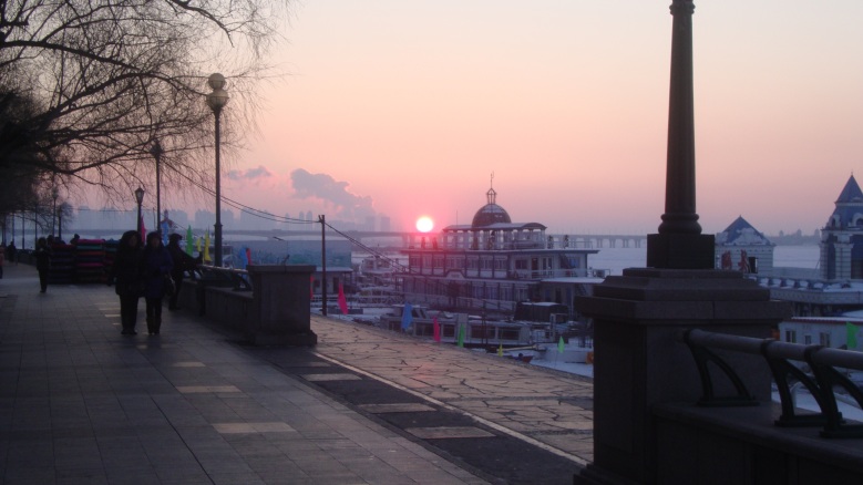 DSC01223_conew1.jpg