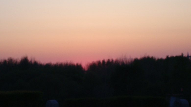 DSC03427_conew1.jpg