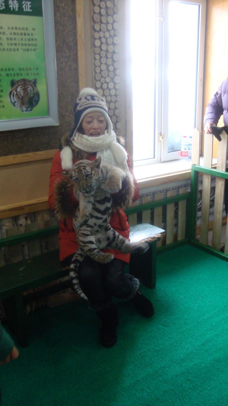 DSC01502_conew1.jpg