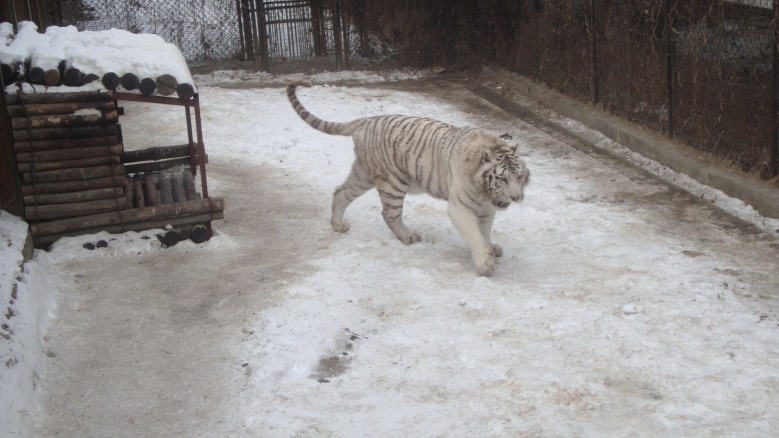 DSC01433_conew1.jpg