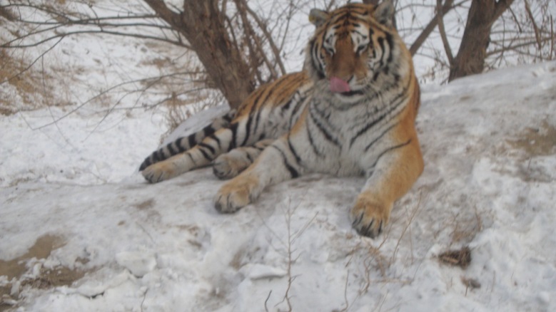 DSC01351_conew1.jpg
