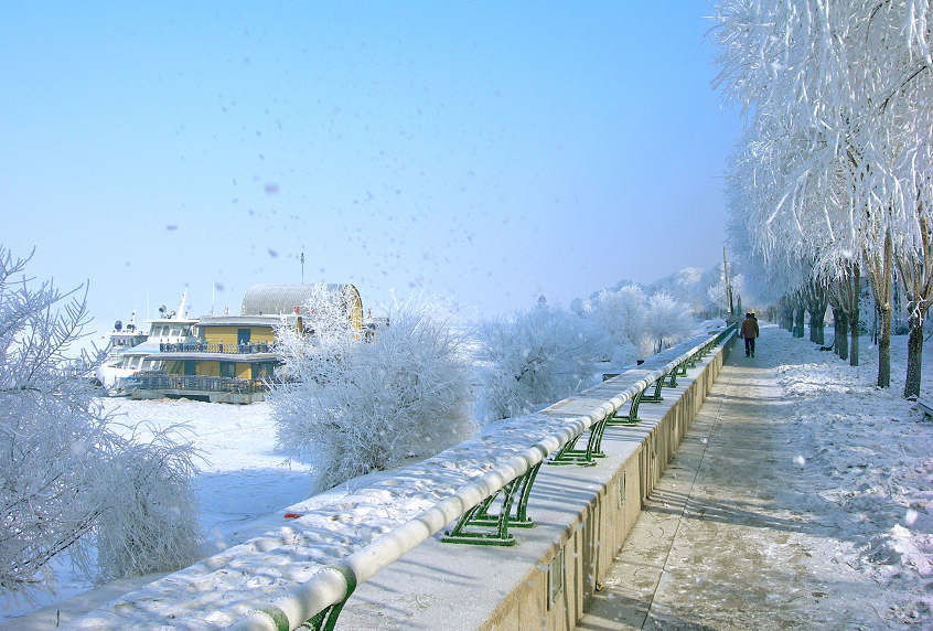 DSCN5421-3.jpg