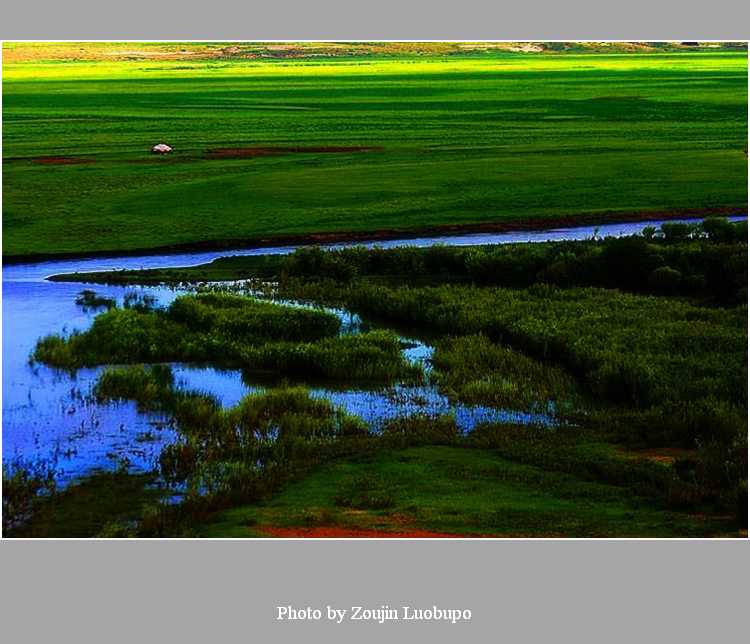 caoyuan-1.jpg