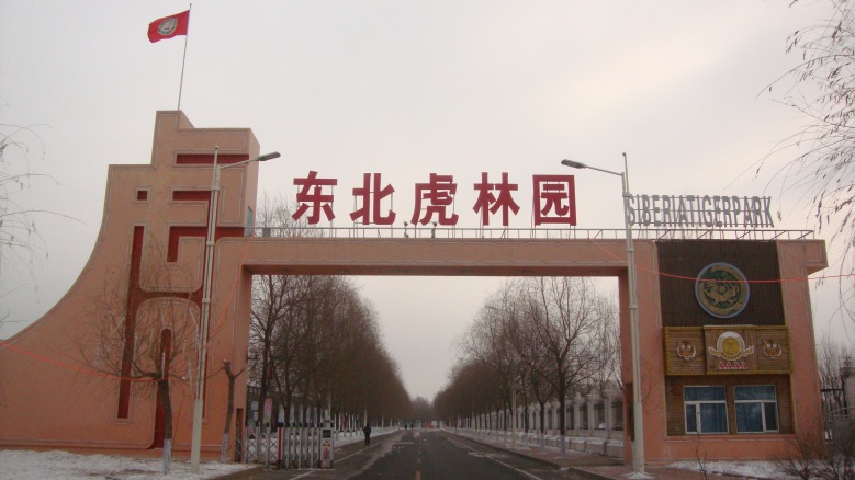DSC01328_conew1.jpg