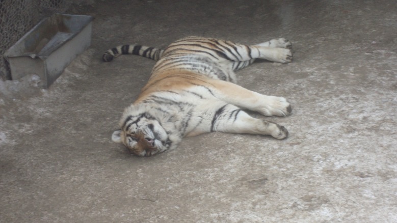 DSC01422_conew1.jpg