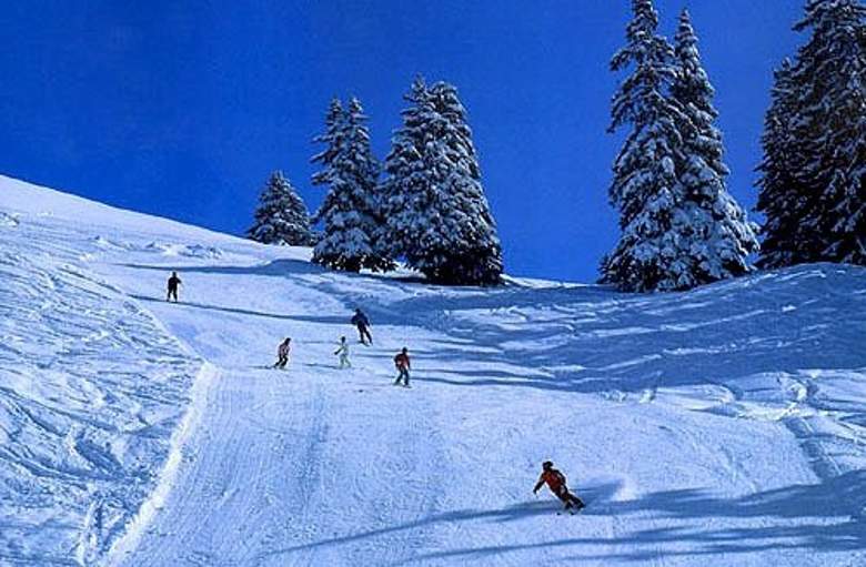 20121230040723_21651_conew1.jpg
