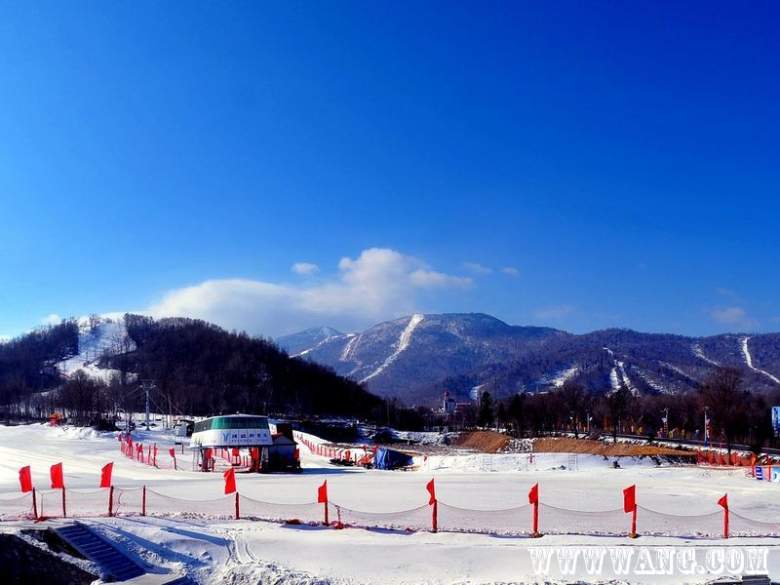 20101130133046858_conew1.jpg