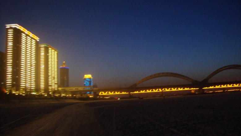 DSC01600_conew1.jpg