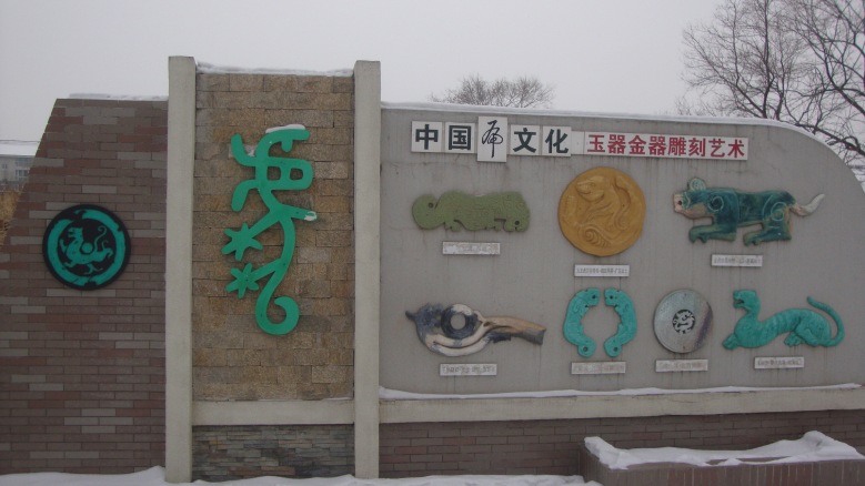 DSC01551_conew1.jpg