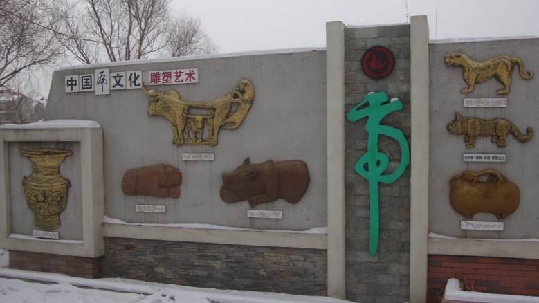 DSC01552_conew1.jpg