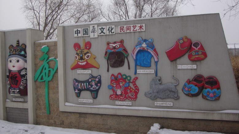 DSC01553_conew1.jpg