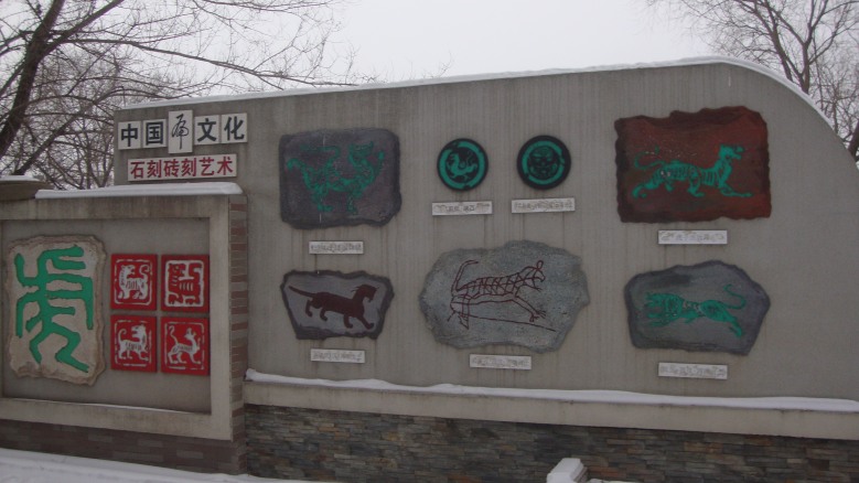 DSC01555_conew1.jpg