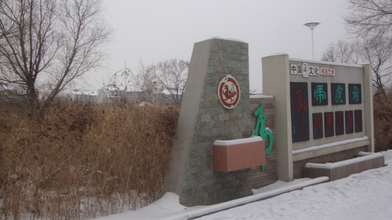 DSC01556_conew1.jpg