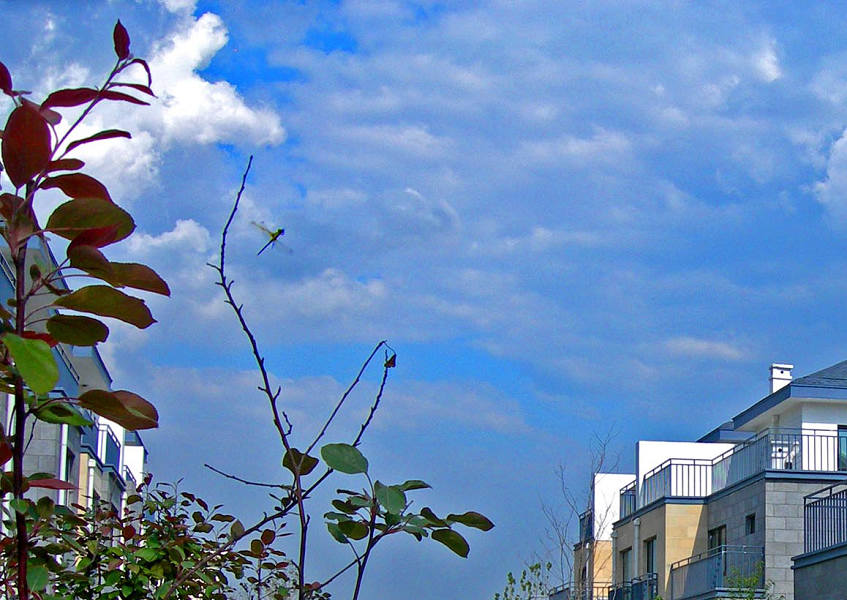 DSCN0420-3.jpg