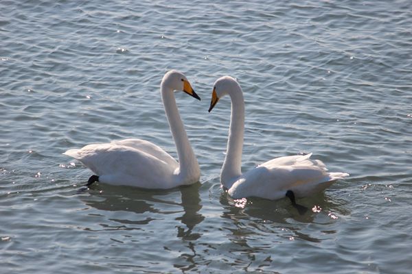 IMG_2414_.jpg