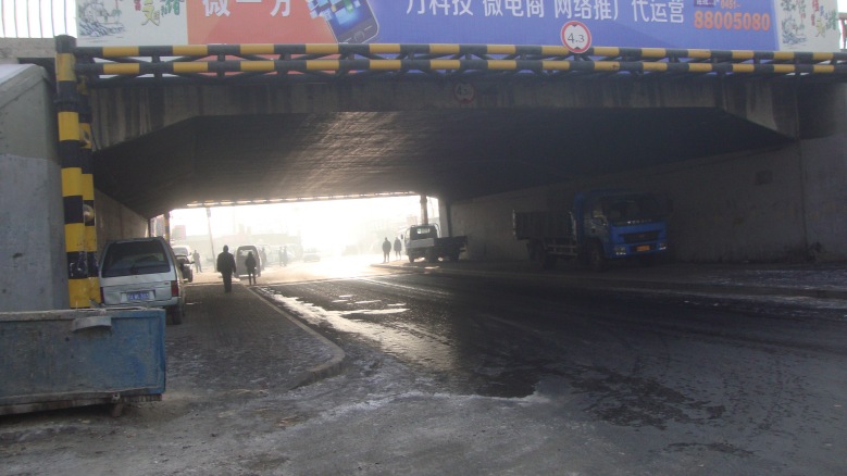 DSC01237_conew1.jpg
