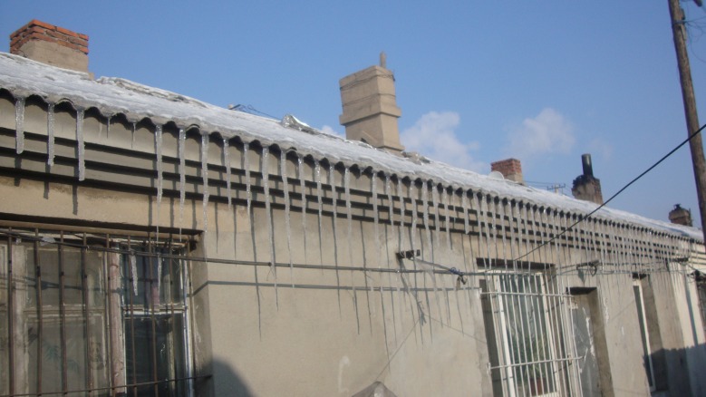 DSC01254_conew1.jpg