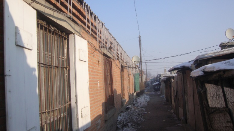 DSC01255_conew1.jpg