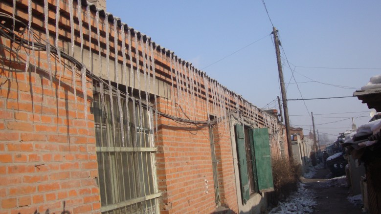 DSC01257_conew1.jpg