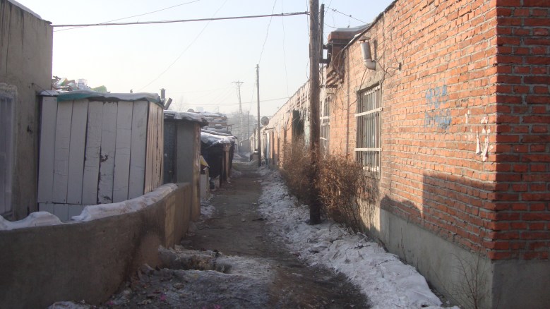 DSC01261_conew1.jpg