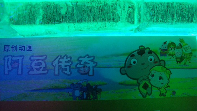 DSC01916_conew1.jpg