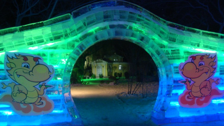 DSC01921_conew1.jpg