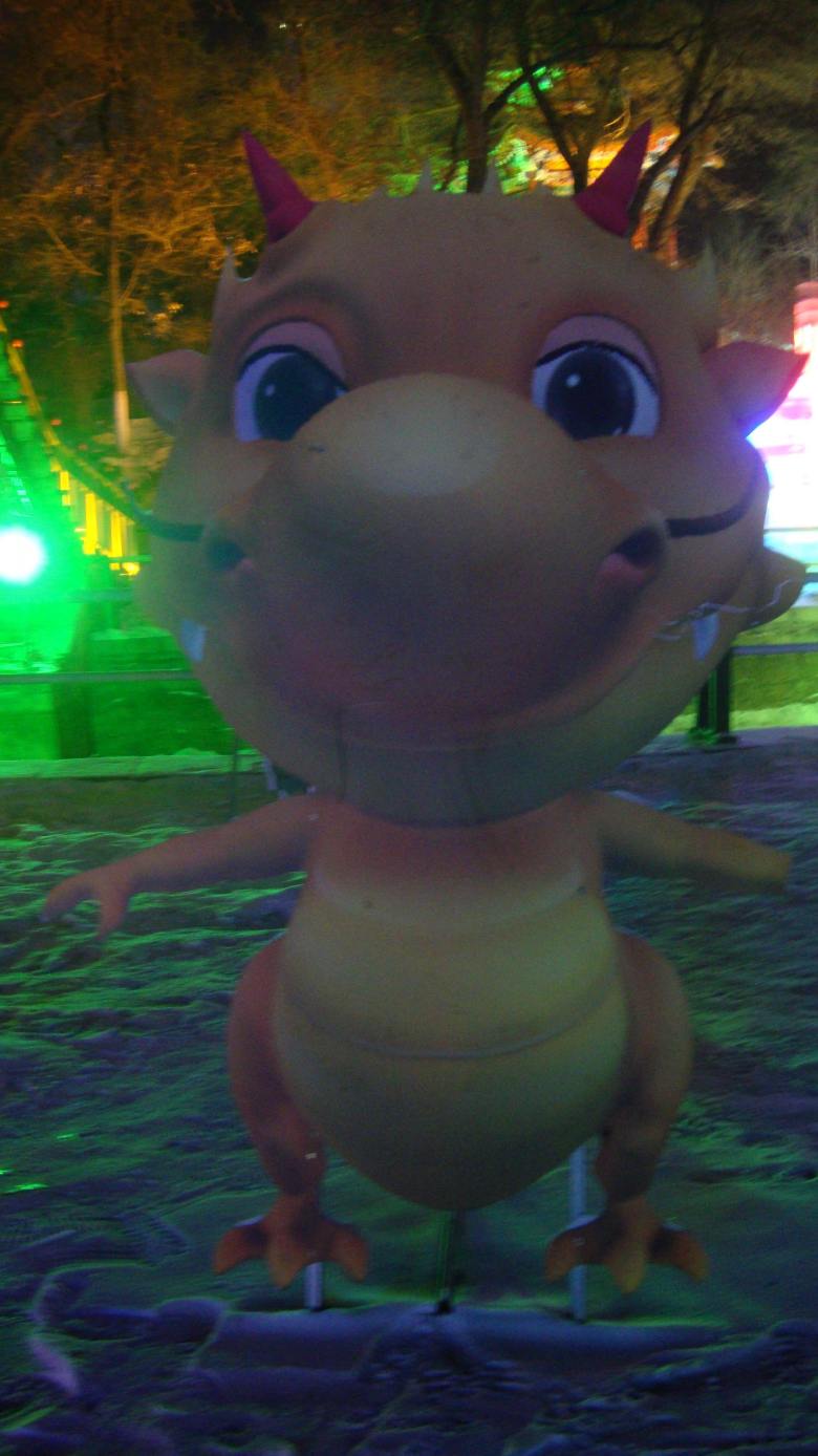 DSC01996_conew1.jpg