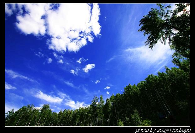 һƬ07.jpg
