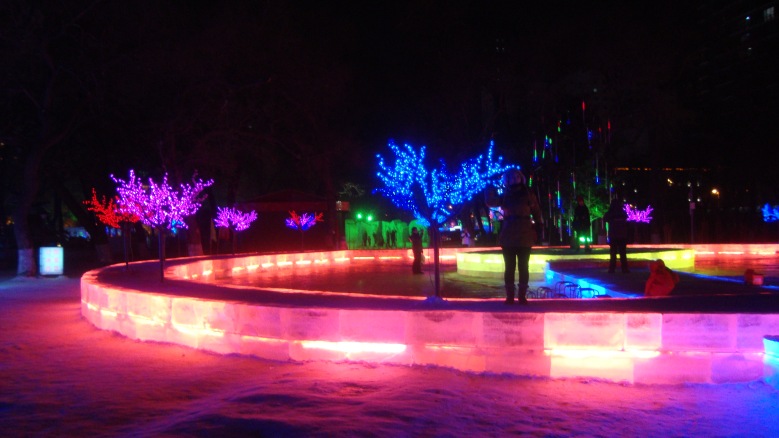 DSC02258_conew1.jpg