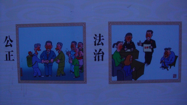 DSC02432_conew1.jpg