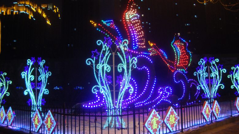 DSC02447_conew1.jpg