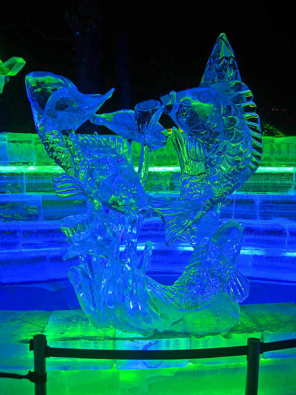 DSCN3040-3.jpg